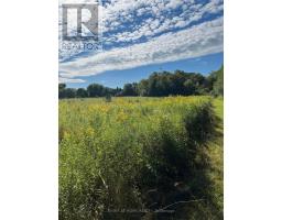 5218 Hillview Drive, Hamilton Township, ON K0K2H0 Photo 6