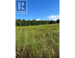 5218 Hillview Drive, Hamilton Township, ON K0K2H0 Photo 7