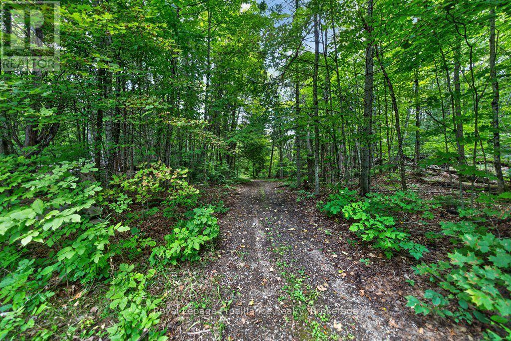 1139 RIVER ROAD - 49