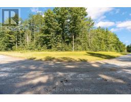 37 Marni Lane, Springwater, ON L0L2K0 Photo 7
