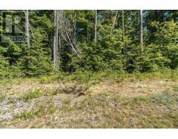 37 Marni Lane, Springwater, ON L0L2K0 Photo 8