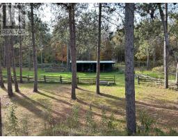 708321 County Rd 21, Mulmur, ON L9V0X3 Photo 28