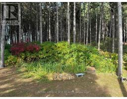 708321 County Rd 21, Mulmur, ON L9V0X3 Photo 30
