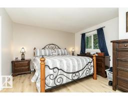 9787 176 St Nw, Edmonton, AB T5T6B3 Photo 23