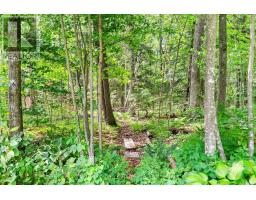 365 Haskins Road, North Grenville, ON K0G1N0 Photo 25