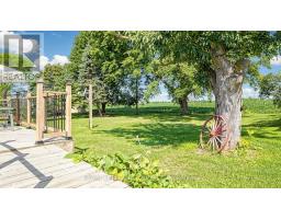 4244 4th Line, Bradford West Gwillimbury, ON L3Z0Y7 Photo 41