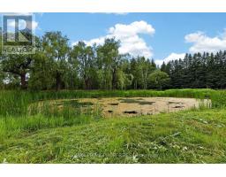 8538 Old Shiloh Road, Georgina, ON L0E1N0 Photo 42