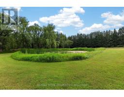8538 Old Shiloh Road, Georgina, ON L0E1N0 Photo 43