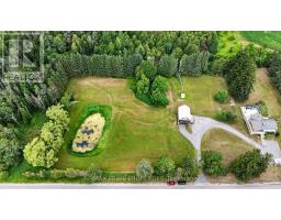 8538 Old Shiloh Road, Georgina, ON L0E1N0 Photo 44