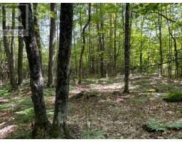 Pt Lt 15 Con 13 Alton Lane, Minden Hills, ON K0M2K0 Photo 6