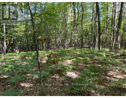 Pt Lt 15 Con 13 Alton Lane, Minden Hills, ON K0M2K0 Photo 7