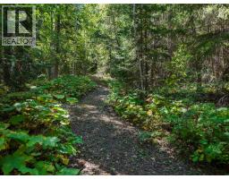 4151 Thomas Road, Golden, BC V0A1L0 Photo 49