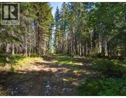 4151 Thomas Road, Golden, BC V0A1L0 Photo 44