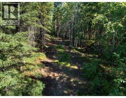4151 Thomas Road, Golden, BC V0A1L0 Photo 45
