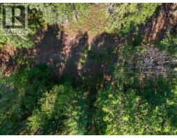 4151 Thomas Road, Golden, BC V0A1L0 Photo 47