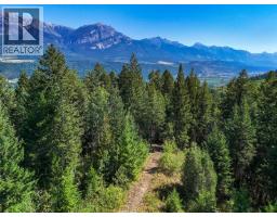 4151 Thomas Road, Golden, BC V0A1L0 Photo 41