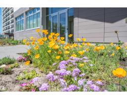 #205 9835 113 St Nw, Edmonton, AB T5K1N4 Photo 45