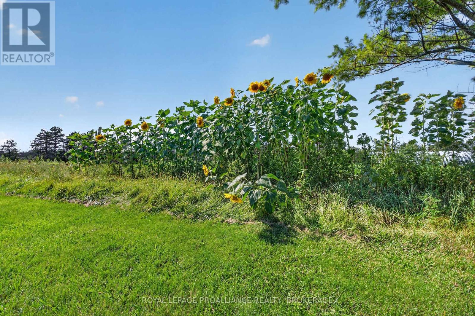 867 MILLHAVEN ROAD - Image 25