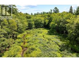 Lot 99-3 Wegesegum Road, Chipman, NB O0O0O0 Photo 10