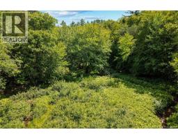 Lot 99-3 Wegesegum Road, Chipman, NB O0O0O0 Photo 11
