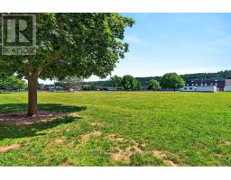 102 Birchlawn Drive, Hamilton, ON L8G4B7 Photo 46