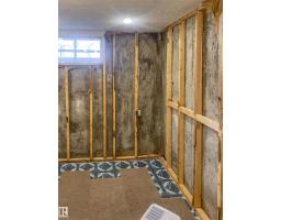10972 35 Av Nw, Edmonton, AB T6J2V3 Photo 56