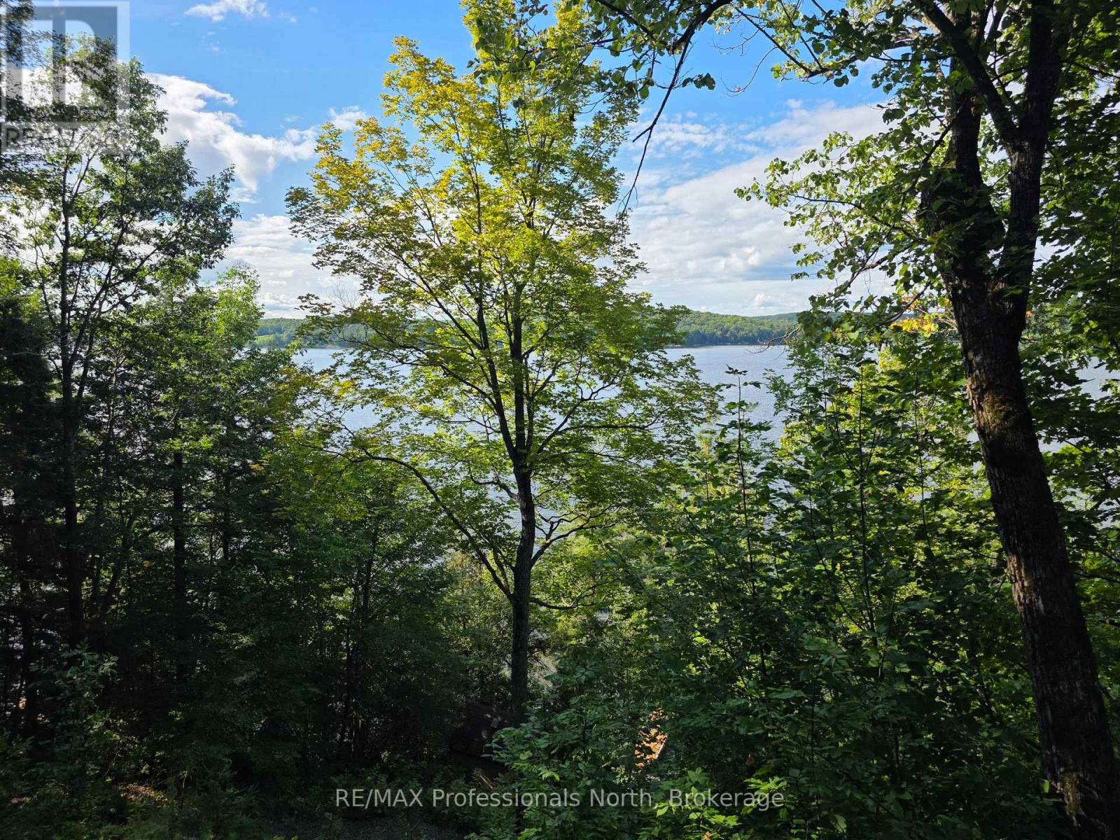 1258-2 WINDERMERE ROAD - Image 36