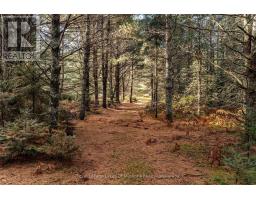 267 & 321 Cardwell Lake Road, Huntsville, ON P0B1M0 Photo 12
