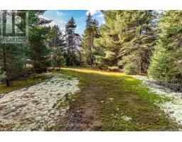 267 & 321 Cardwell Lake Road, Huntsville, ON P0B1M0 Photo 13