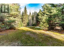 267 & 321 Cardwell Lake Road, Huntsville, ON P0B1M0 Photo 15