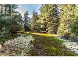 267 & 321 Cardwell Lake Road, Huntsville, ON P0B1M0 Photo 16