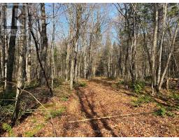 267 & 321 Cardwell Lake Road, Huntsville, ON P0B1M0 Photo 17