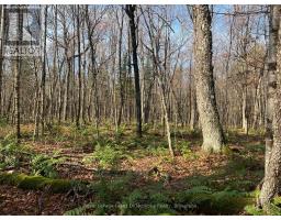 267 & 321 Cardwell Lake Road, Huntsville, ON P0B1M0 Photo 18