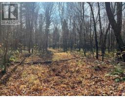 267 & 321 Cardwell Lake Road, Huntsville, ON P0B1M0 Photo 19