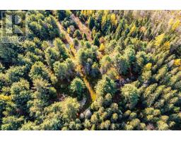 267 & 321 Cardwell Lake Road, Huntsville, ON P0B1M0 Photo 8