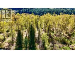 5704 Trans Canada Highway, Malakwa, BC V0E2J0 Photo 44