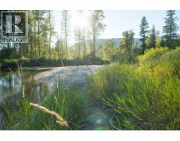 5704 Trans Canada Highway, Malakwa, BC V0E2J0 Photo 34