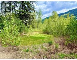 5704 Trans Canada Highway, Malakwa, BC V0E2J0 Photo 45