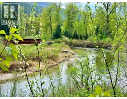 5704 Trans Canada Highway, Malakwa, BC V0E2J0 Photo 33