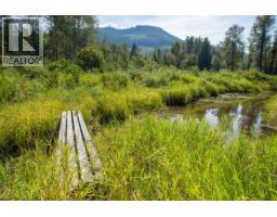 5704 Trans Canada Highway, Malakwa, BC V0E2J0 Photo 38