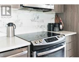 215 - 50 Bruyeres Mews, Toronto, ON M5V0H8 Photo 10