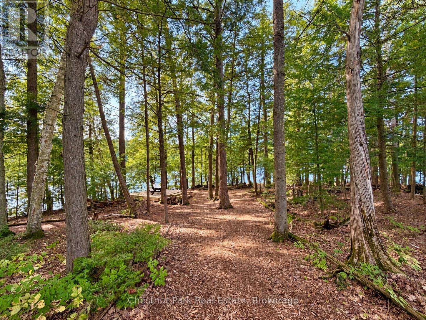 1304 GRANDPA'S TRAIL - Image 11