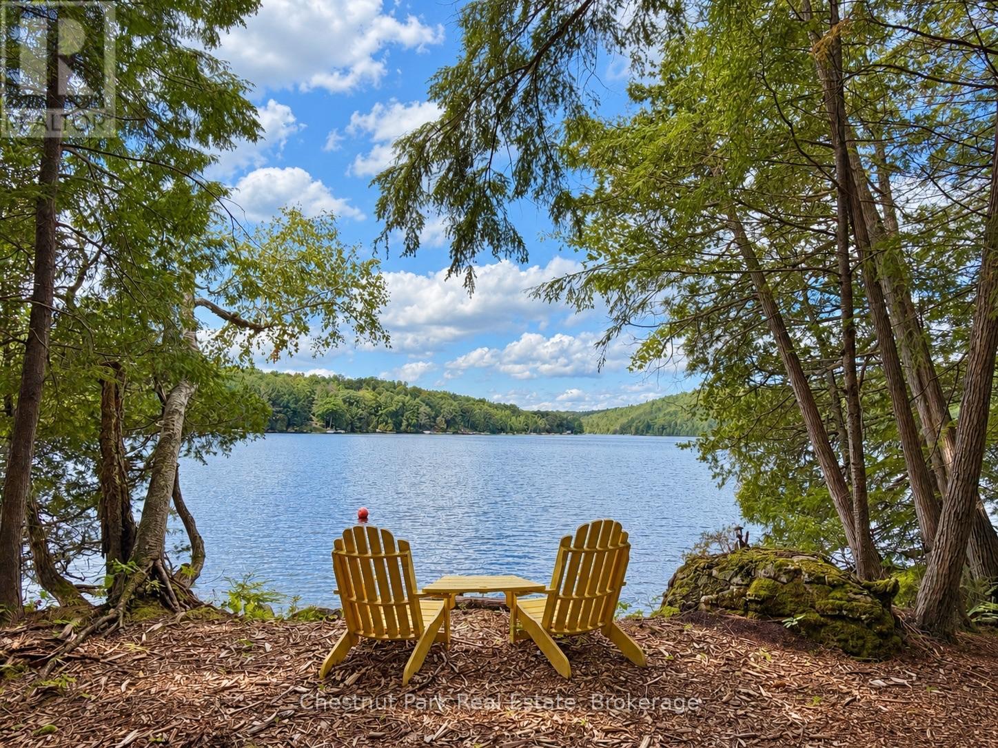 1304 GRANDPA'S TRAIL - Image 14