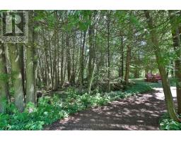 19555 Shaws Creek Road, Caledon, ON L7K1L5 Photo 47