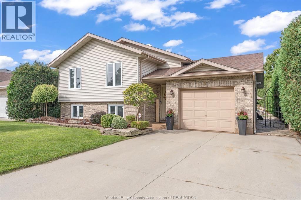 3 Carter AVENUE - 32