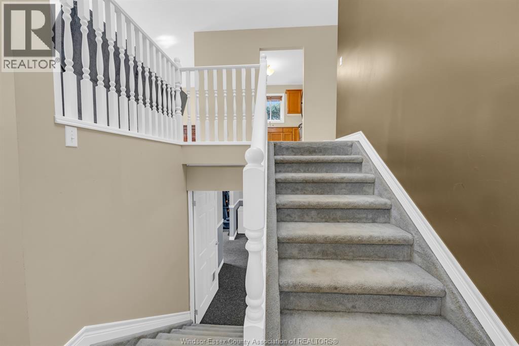 3 Carter AVENUE - 6