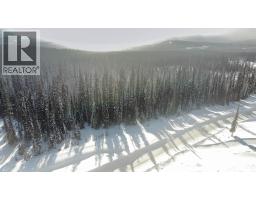 4259 Black Forest Road, Big White, BC V1P1P3 Photo 15