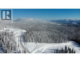 4259 Black Forest Road, Big White, BC V1P1P3 Photo 9