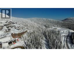 4259 Black Forest Road, Big White, BC V1P1P3 Photo 11