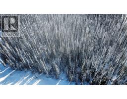 4259 Black Forest Road, Big White, BC V1P1P3 Photo 14